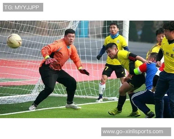 足球金成:探索足球运动的魅力与未来发展之路